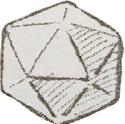 d20